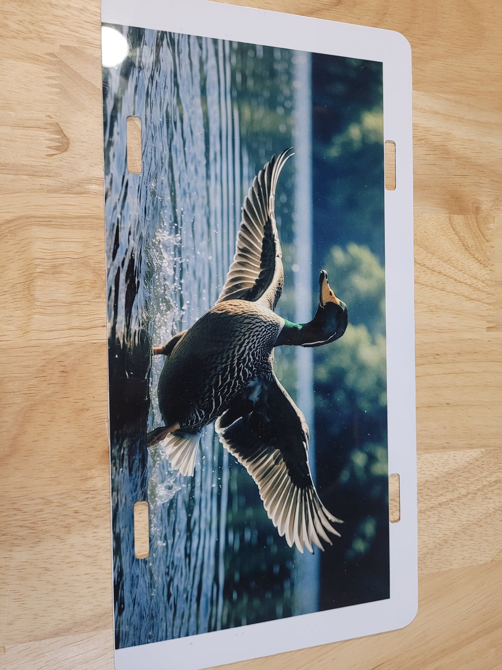 Landing Duck License Plate Design