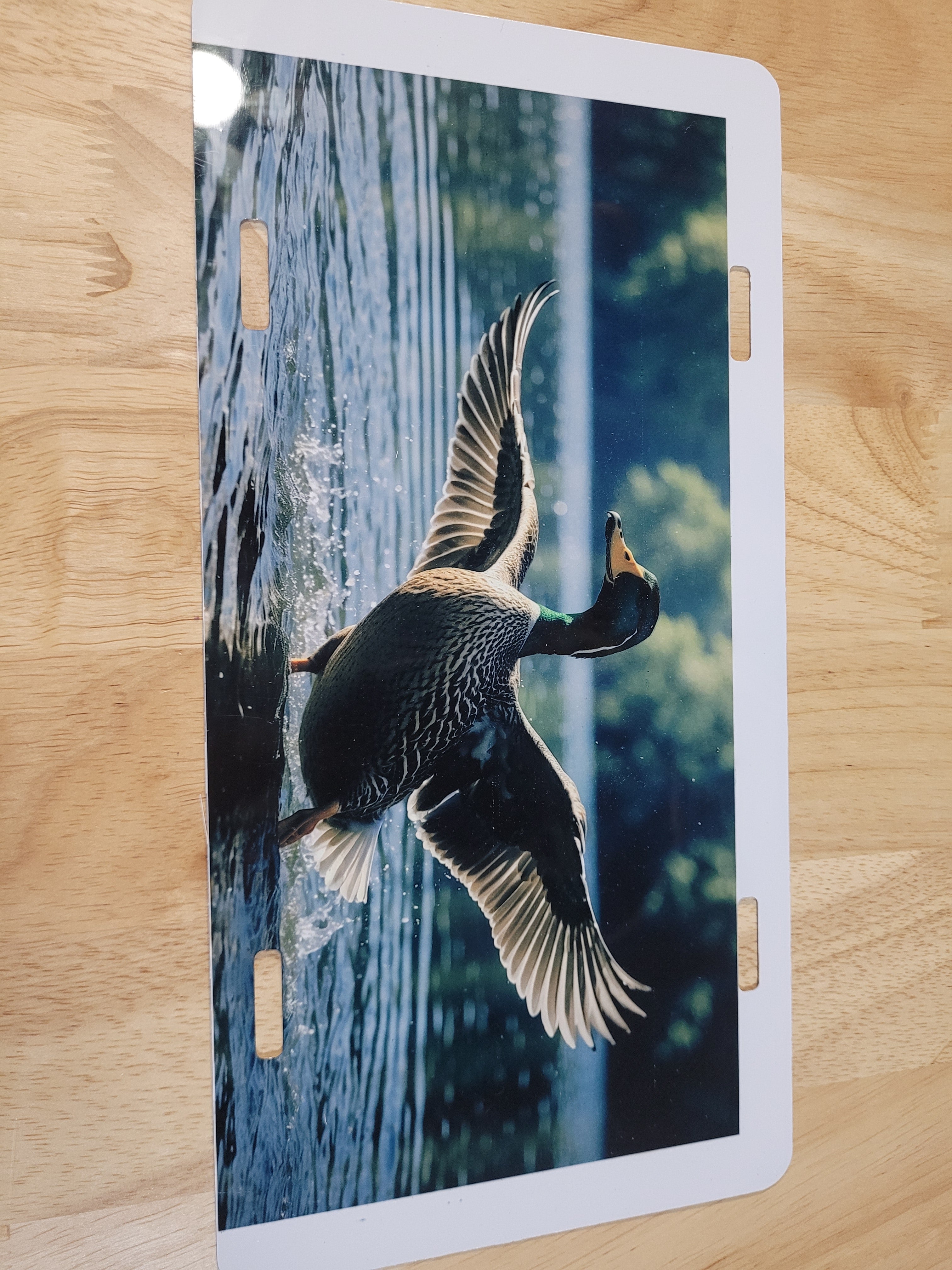 Landing Duck License Plate Design