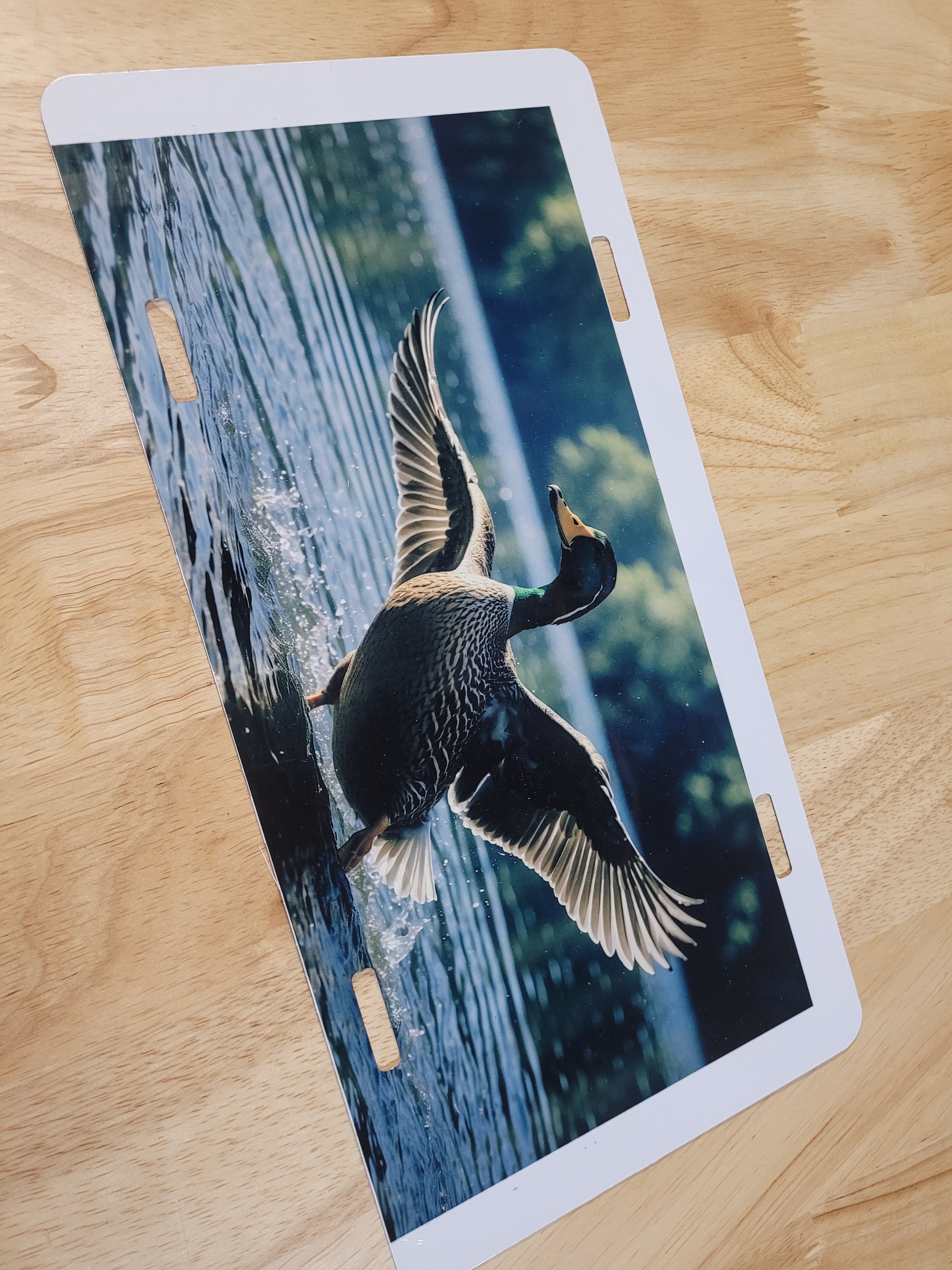 Landing Duck License Plate Design