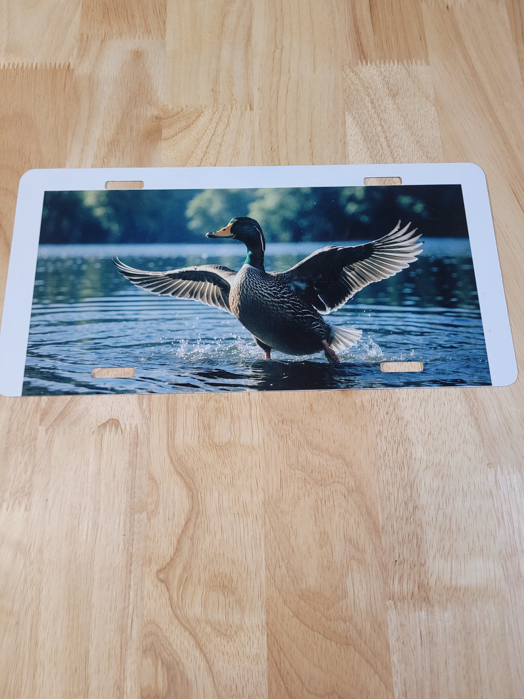 Landing Duck License Plate Design