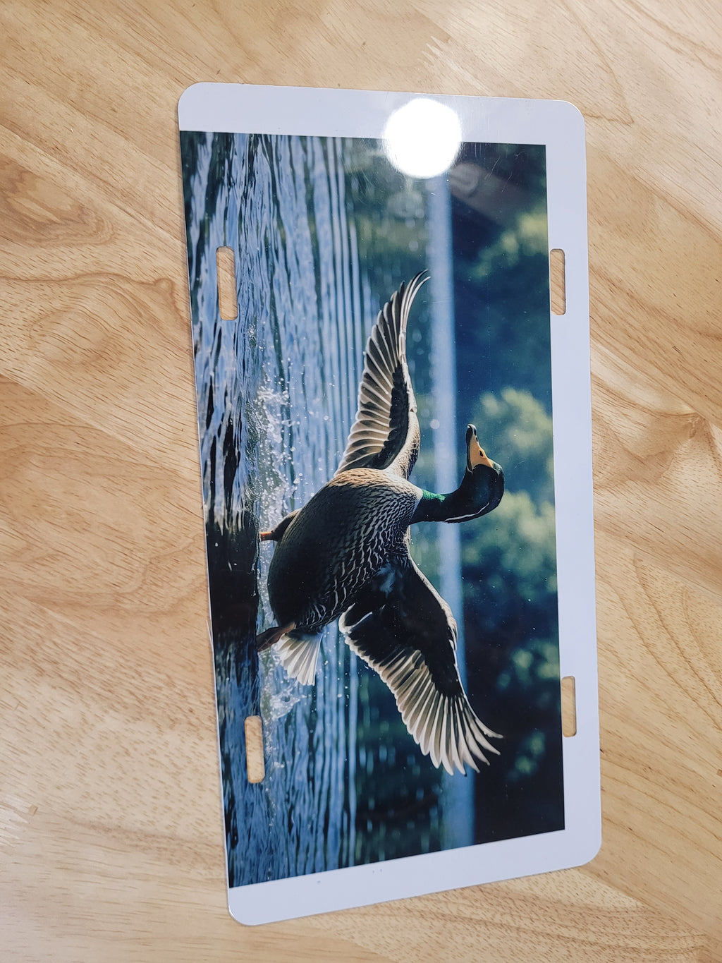 Landing Duck License Plate Design